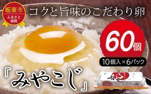 No.216 たまごのプロが認める伝承卵「みやこじ」60個 / タマゴ 玉子 茨城県 特産品茨城県坂東市10000卵・乳製品卵(鶏、烏骨鶏等)