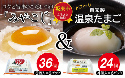 No.217 伝承卵「みやこじ」と「温泉たまご」の詰合せ / タマゴ 玉子 茨城県 特産品茨城県坂東市12000卵・乳製品卵(鶏、烏骨鶏等)