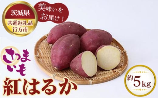 No.328 さつまいも 紅はるか 約5kg【茨城県共通返礼品 行方市】 / 旬 新鮮 さつま芋 サツマイモ 野菜 茨城県 特産品茨城県坂東市15000野菜・きのこじゃがいも・イモ類