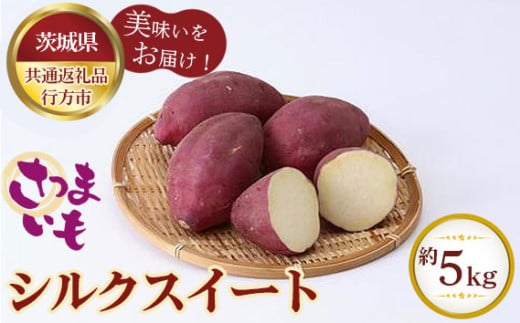No.329 さつまいも シルクスイート 約5kg【茨城県共通返礼品 行方市】 / 旬 新鮮 さつま芋 サツマイモ 野菜 茨城県 特産品茨城県坂東市15000野菜・きのこじゃがいも・イモ類