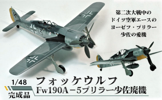 No.379 tHbPEt@Fw190A|5v[p@@1/48 ^ ͌^ i ؐj 錧錧Ⓦs100000G݁EpiEʂ