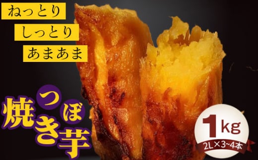 No.394 ڏĂ1kg ^ g͂邩 ₫ ܂ 錧錧Ⓦs9000؁ÊႪEC