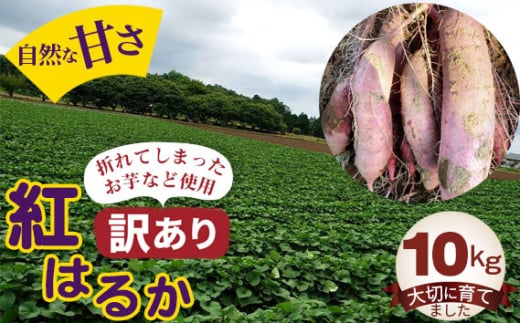 No.395 【訳あり】紅はるか10kg / お芋 甘い さつまいも 茨城県茨城県坂東市11000野菜・きのこじゃがいも・イモ類
