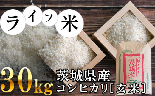 No.464 コシヒカリ・玄米 30kg 令和5年産【ライフ米】 / お米 ごはん こしひかり 茨城県茨城県坂東市29000米・パン玄米・雑穀米・もち米・餅