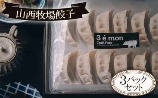 No.555 山西牧場餃子3Pセット / 豚肉 ぎょうざ ジューシー 茨城県茨城県坂東市13000鍋セット・総菜・加工食品総菜
