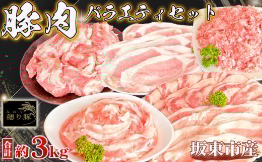 No.841 坂東市産の豚肉バラエティセット 約3kg / 背ロース 肩ロース バラ もも 小間切れ ひき肉 うま味 セット 茨城県茨城県坂東市26000肉豚肉