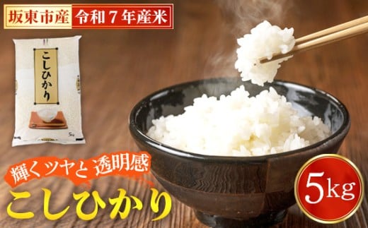 No.848 令和7年産 こしひかり5kg【坂東市産】 / 令和7年 新米 米 お米 こめ コメ 精米 白米 ご飯 国産米 5kg 5キロ コシヒカリ こしひかり 甘み 粘り 香り ツヤ おすすめ 人気 おいしい お取り寄