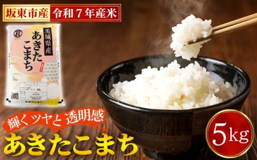 No.861 令和7年産 あきたこまち5kg【坂東市産】 / 令和7年 新米 米 お米 こめ コメ 精米 白米 ご飯 国産米 5kg 5キロ あきたこまち ツヤ 香り もちもち お弁当 おすすめ 人気 おいしい お取り寄