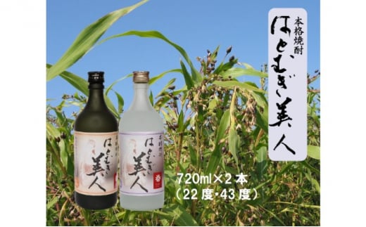 yȖ، sYz {iĒ ͂Ƃނ l 2{Zbgi22xE43xje720ml×Q{  Ē   ďĒ [5840-1547]Ȗ،s15000EAR[Ē