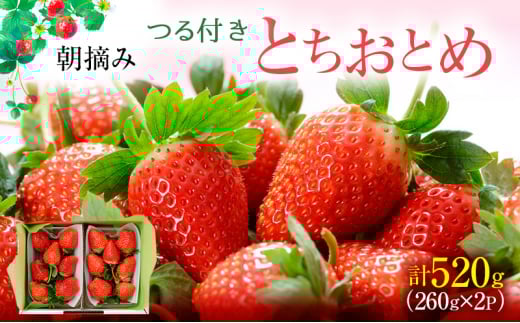 ys\zt ƂƂ 2pbNi2025N12{`2026N1{j b  ʕ t[c  C`S   VN  ÂȖ،s9000ʕEt[c
