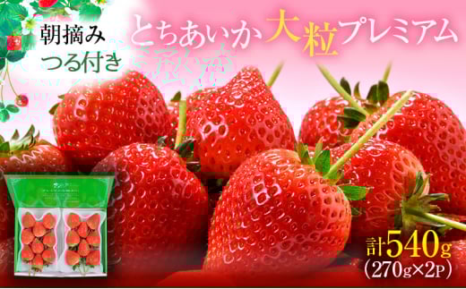 ys\zt Ƃ 嗱v~A 2pbN i2026N2`2{j b  ʕ t[c  C`S   VN  ÂȖ،s8000ʕEt