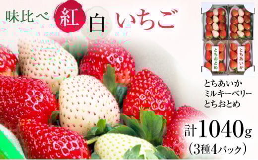 【先行予約】味くらべ紅白いちご 3種 4パック (2026年2月上旬〜2月中旬) | いちご 果物 フルーツ 苺 イチゴ くだもの とちあいか ミルキーベリー とちおとめ 朝取り 新鮮 美味しい 甘い栃