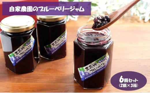 Ɣ_̃u[x[W6rZbgi2r×3jHi t[cW [5840-2385]Ȗ،s15000ZbgE؁EHHiWE݂͂