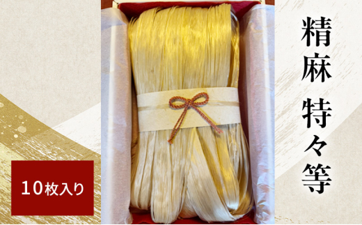  X 10 bBH[  {Y  g`MV i Ȃ₩    i   `s ߓ _   _  ɉh _ [ 