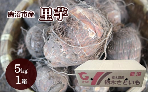 sY  5kg 50 1  Ƃ  ܂ Ƃ ˂Ƃ 炩 H ςꂵɂ s ʂ [5840-2770]@Eւ̔zs@2025N12{`12{