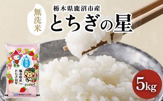 【先行予約】【令和7年産】【数量限定】栃木県鹿沼市産 とちぎの星 無洗米 5kg 令和6年産 令和7年産 | 水稲うるち精米 単一原料米 お米 特A 大粒 甘さ ※沖縄・離島への配送不可栃木県鹿沼市