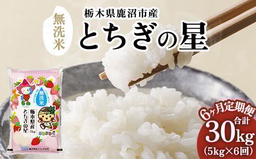 【先行予約】【定期便6ヶ月】令和7年産 栃木県鹿沼市産 とちぎの星 無洗米 5kg | 水稲うるち精米 単一原料米 お米  特A 大粒 ※沖縄・離島への配送不可 ※2025年10月上旬頃より順次発送予定栃