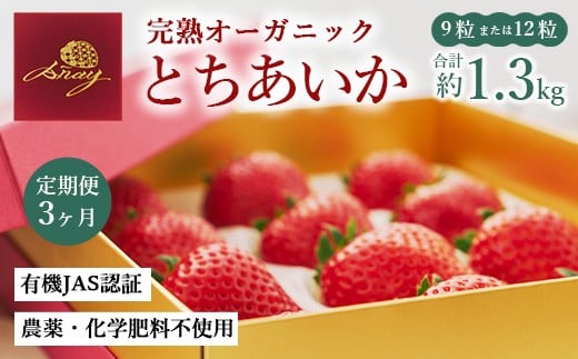 【定期便3ヶ月】完熟オーガニックとちあいか 9粒または12粒 ※2025年12月上旬〜2026年4月下旬頃に順次発送予定栃木県鹿沼市161000果物・フルーツいちご