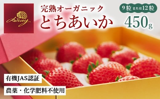 完熟オーガニックとちあいか 9粒または12粒 ※2025年12月中旬〜2026年4月中旬頃に順次発送予定栃木県鹿沼市54000果物・フルーツいちご