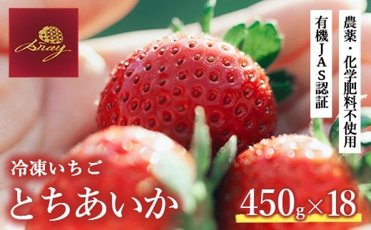 冷凍いちご  450g×18栃木県鹿沼市193000果物・フルーツいちご