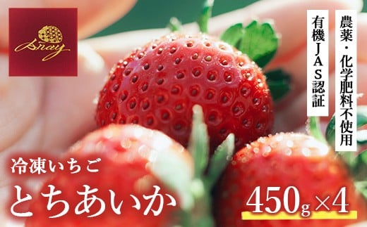 冷凍いちご  450g×4栃木県鹿沼市43000果物・フルーツいちご