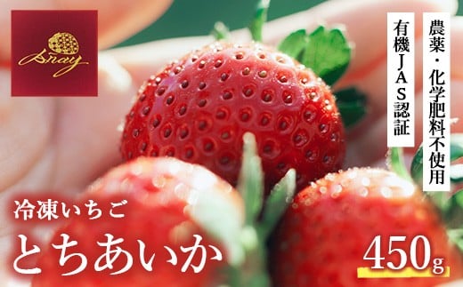 冷凍いちご  450g×1栃木県鹿沼市15000果物・フルーツいちご