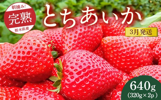 【先行予約】【3月発送】朝摘み!完熟とちあいか 640g(320g×2p) ※離島への配送不可 ※2026年3月上旬〜3月下旬頃に順次発送予定栃木県鹿沼市8000果物・フルーツいちご