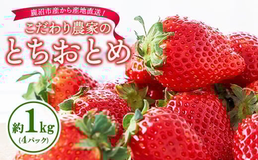 こだわり農家のとちおとめ 1kg 4パック ※2026年1月上旬〜3月下旬頃に順次発送予定 ※離島への配送不可栃木県鹿沼市11000果物・フルーツいちご