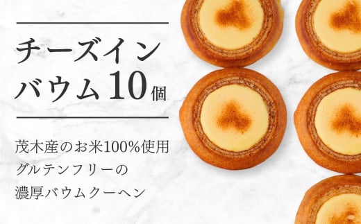 oEN[w ΖؒYĕ100%gp `[YCoE 10 | o[N[w XC[c RVqJ ĕ `[Y u[x[ Oet[ y o^[ R[q[ xCNh`[YP[L