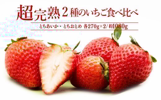 ystF1{ȍ~zuΖ؊nv 肳񂪈Ă ƂƂ  Ƃ M[TCY Hה׃Zbg 270g × e2pbN v1080g |  C`S 