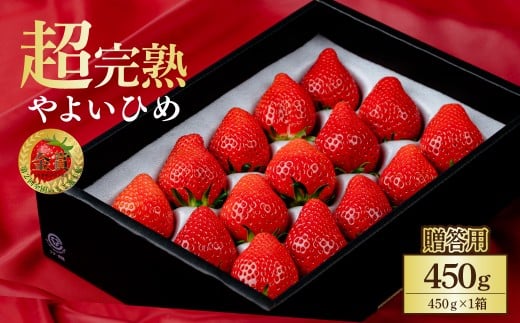 ystF1{ȍ~z ؃t@[̒E 悢Ђ Mtg 450g×1 |  C`S  Ƃ n Â ܂ ʕ t[c  Mtg v[g ؃t@[