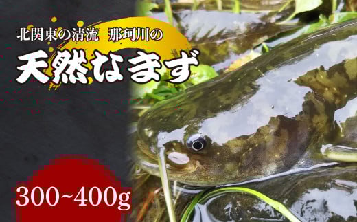 天然なまず(切り身) 北関東の清流「那珂川産」 300g〜400g 真空冷凍 | 天然 鯰 ナマズ 鮮魚 新鮮 北関東 清流 天ぷら から揚げ 味噌漬け焼き アヒージョ Riverline 栃木県 茂木町栃木県茂木町14000