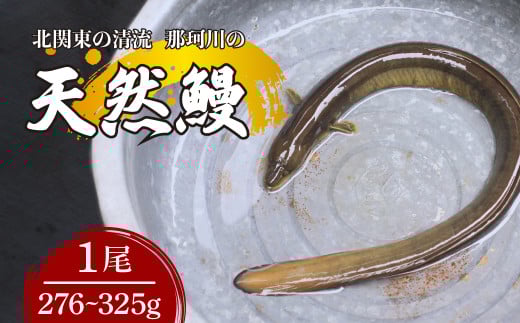 VRV k֓̐u߉ϐYv ^Ⓚ 1 276`325g | V Ȃ EiM VR VRȂ  Md N VN k֓   ΏĂ Ă YΏ ȏd Ș Riverline Ȗ، 