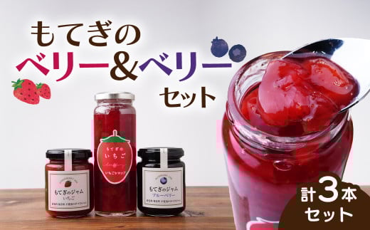 もてぎのベリー&ベリーセット | いちご イチゴ 苺 ブルーベリー 果実 フルーツ 手作り 果肉 朝食 トースト パン ヨーグルト 詰め合わせ 保存料 着色料 不使用 おいしい 美味しい 茂木産 もて