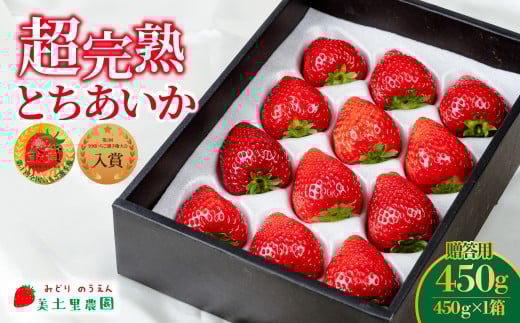 ystF2ȍ~zuΖ؊nv@y_̒̂ Ƃ Mtg 450g×1 |  C`S  Ƃ n Â ܂ ʕ t[c  Mtg v[