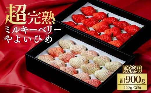 ystF2ȍ~z ؃t@[ Mtg 悢Ђ×~L[x[ 900g (450g×2) |  C`S  悢Ђ ~L[x[ n Â ܂ ʕ t[c ؃t@