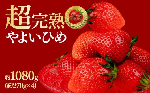 ystF3ȍ~z ؃t@[̊nE 悢Ђ M[TCY 270g × 4pbN v 1080g |  C`S  悢Ђ Â ܂ n ʕ t[c 