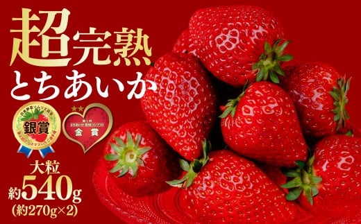 ystF3ȍ~z ؃t@[ Ƃ 嗱 270g × 2pbN v 540g |  C`S  Ƃ n ʕ t[c  { Yn Ȗ،Y ؃t@