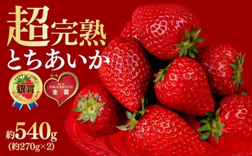 ystF3ȍ~z ؃t@[ Ƃ M[TCY 270g × 2pbN v 540g |  C`S  Ƃ n ʕ t[c  { Yn Ȗ،