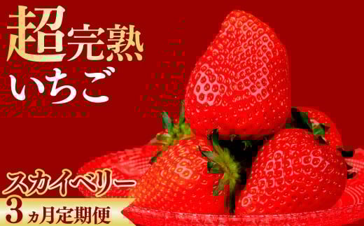 ystF1{ȍ~z3  ؃t@[̒E݌IwXJCx[xM[TCY 270g × 4pbN v 1080g |  C`S  XJCx[ n Â 