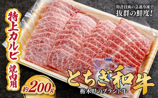 とちぎ和牛の特上カルビ 焼肉用 200g【栃木県共通返礼品】 |  牛肉 肉 お肉 カルビ 特上 バラ肉 焼肉 産地直送 国産 国産牛 和牛 赤身 霜降り 希少 旨味 旨み 熟成 急速冷凍 テクニカン テクニ