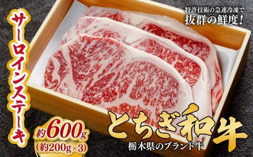 とちぎ和牛の厚切りサーロインステーキ 600g(200g×3枚)【栃木県共通返礼品】 | 牛肉 肉 お肉 厚切り サーロイン ステーキ 柔らかい 産地直送 国産 国産牛 交雑 赤身 霜降り 希少 旨味 旨み