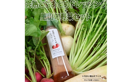 完熟とちおとめドレッシングと里山旬野菜セット栃木県市貝町8000野菜・きのこその他 野菜