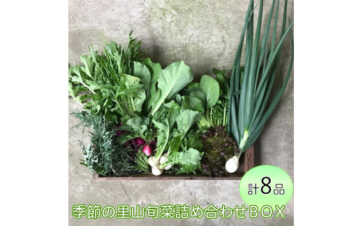 わたね 季節の里山旬菜詰め合わせBOX(計8品)≪ギフト セット 野菜 無農薬 グルメ≫※着日指定不可栃木県市貝町12000野菜・きのこその他 野菜