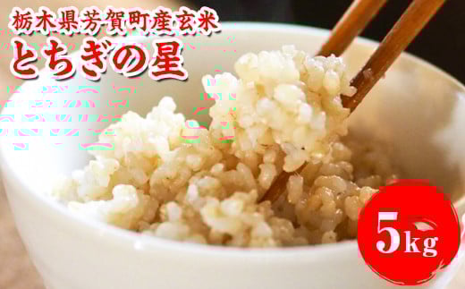 \ご好評につき再販!/特A受賞 令和7年度産 とちぎの星 栃木県芳賀町産玄米5kg | 米 お米 玄米 ブランド米 特A評価 令和7年産 新米 とちぎの星 国産 単一米 数量限定栃木県芳賀町13000米・パ