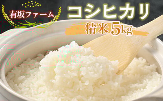 ≪先行受付≫有坂ファームの令和7年産コシヒカリ 精米5kg栃木県塩谷町14000米・パン白米