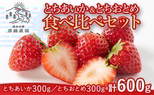 とちあいか約300g&とちおとめ約300g 計約600g ※北海道・沖縄・離島への配送不可 ※2025年12月上旬〜2026年4月下旬頃に順次発送予定栃木県塩谷町8000果物・フルーツいちご