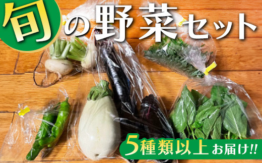 旬の野菜セット 5種類以上お届け|季節の野菜 詰合せ 塩谷町 栃木県 ※北海道・沖縄・離島への配送不可栃木県塩谷町7000野菜・きのこその他 野菜