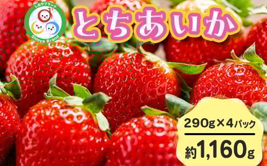 【先行予約】とちあいか 290g×4パック 計1160g|いちご イチゴ 苺 贈答用 ギフト 風袋入り 平詰め ハンモックトレー 果物 くだもの フルーツ 数量限定 しおやブランド いちごソムリエ 栃木県