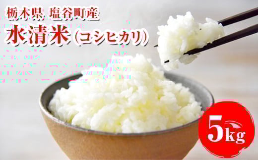 水清米(コシヒカリ)5kg|こしひかり 米 新米 精米 こめ コメ 名水百選 国産 産地直送 期間限定 栃木県 塩谷町 ※2025年10月上旬頃より順次発送予定栃木県塩谷町19000米・パン白米